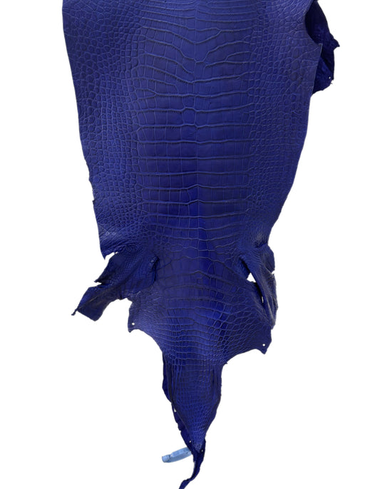 37 cm Grade 3/4 Cobalt Blue Matte Wild American Alligator Leather - Tag: LA23-0050078
