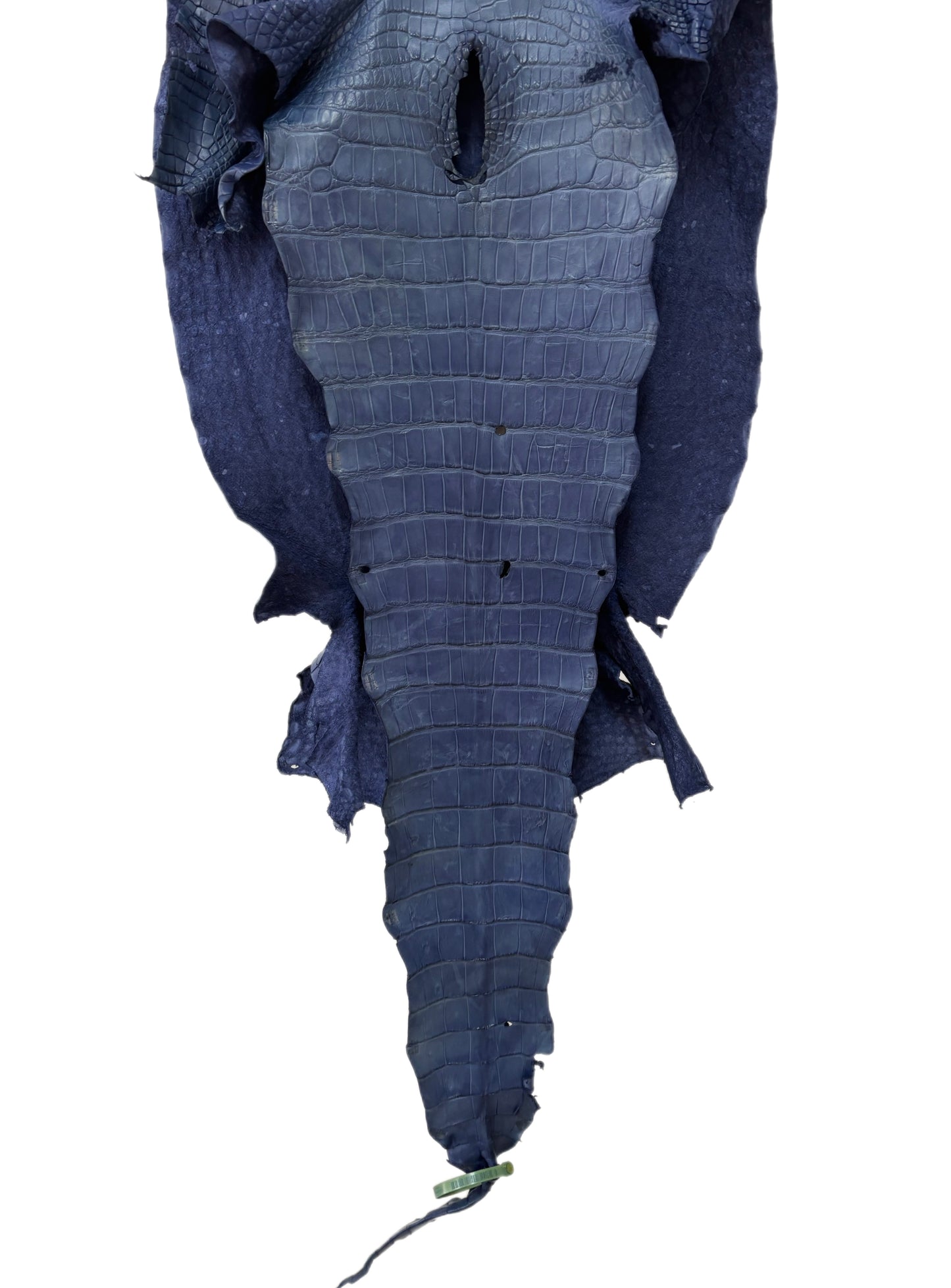 50 cm Grade 4/5 Indigo Matte Wild American Alligator Leather - Tag: LA25-0027653