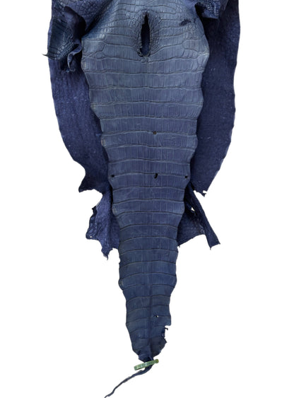 50 cm Grade 4/5 Indigo Matte Wild American Alligator Leather - Tag: LA25-0027653