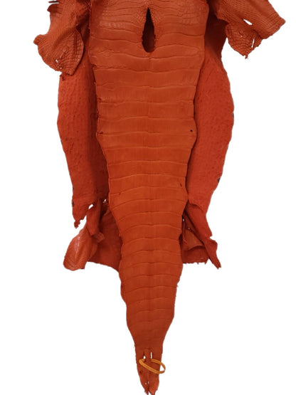 46 cm Grade 2/3 Orange Matte Wild American Alligator Leather - Tag: LA23-0015470