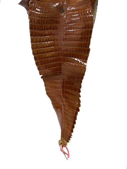 32 cm Grade 1 Cognac Glazed Farm-Raised American Alligator Leather - Tag: FL21-0024369
