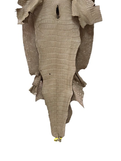 47 cm Grade 3/4 Oatmeal Matte Wild American Alligator Leather - Tag: LA25-0009833