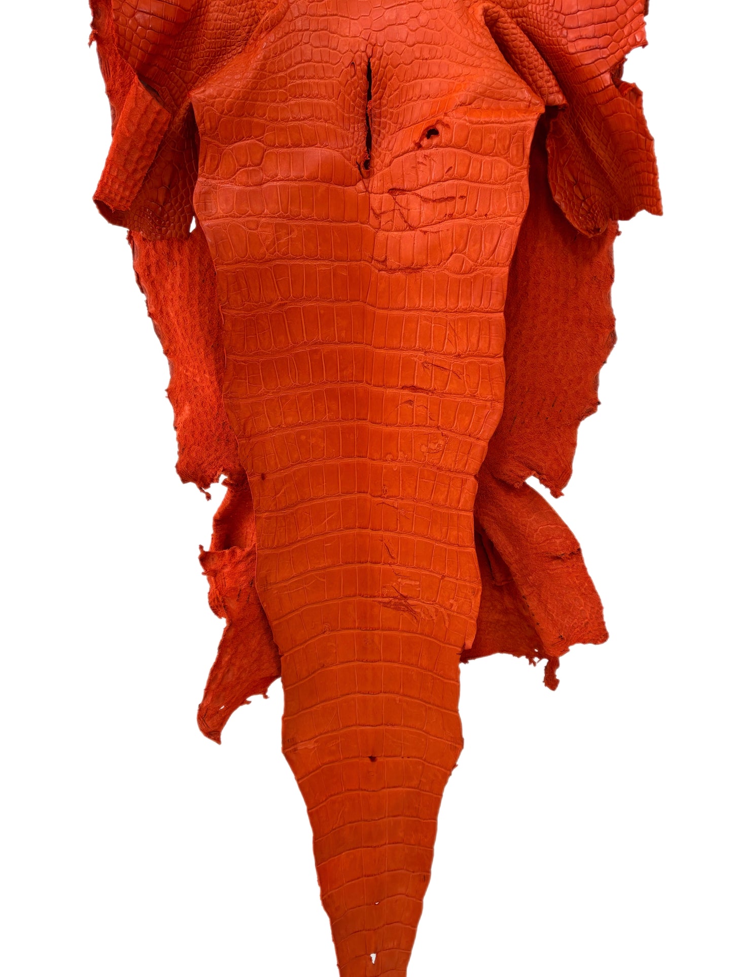 45 cm Grade 3/4 Orange Primavera Matte Wild American Alligator Leather - Tag: LA23-0003219