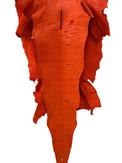 45 cm Grade 3/4 Orange Primavera Matte Wild American Alligator Leather - Tag: LA23-0003219