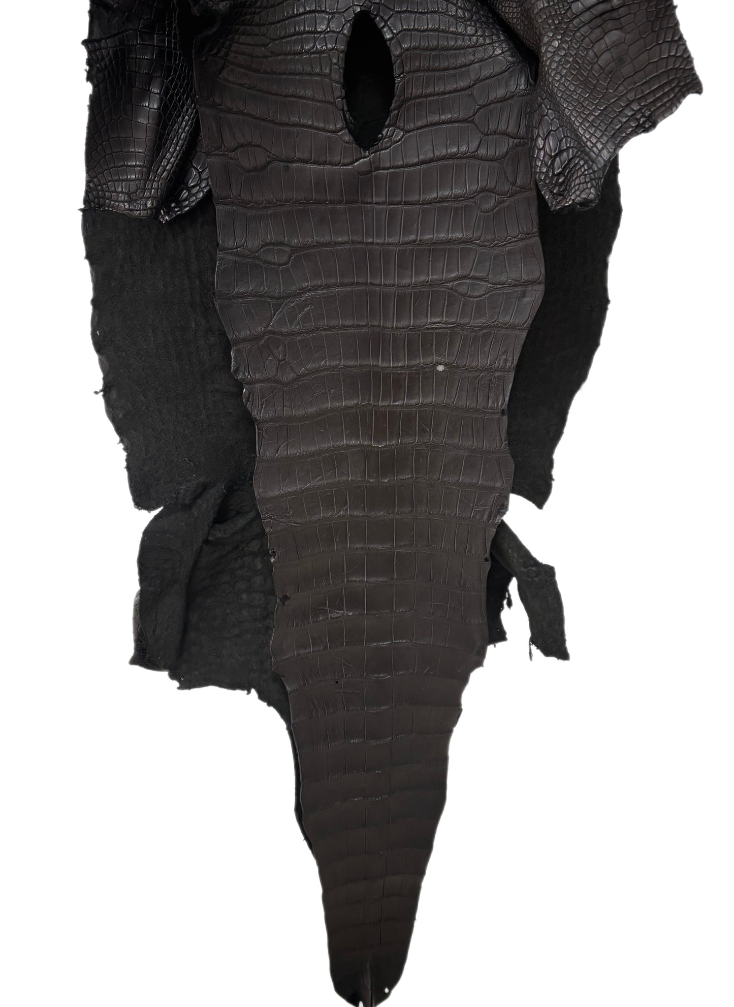 48 cm Grade 3/4 Black Matte Wild American Alligator Leather - Tag: LA23-0030276