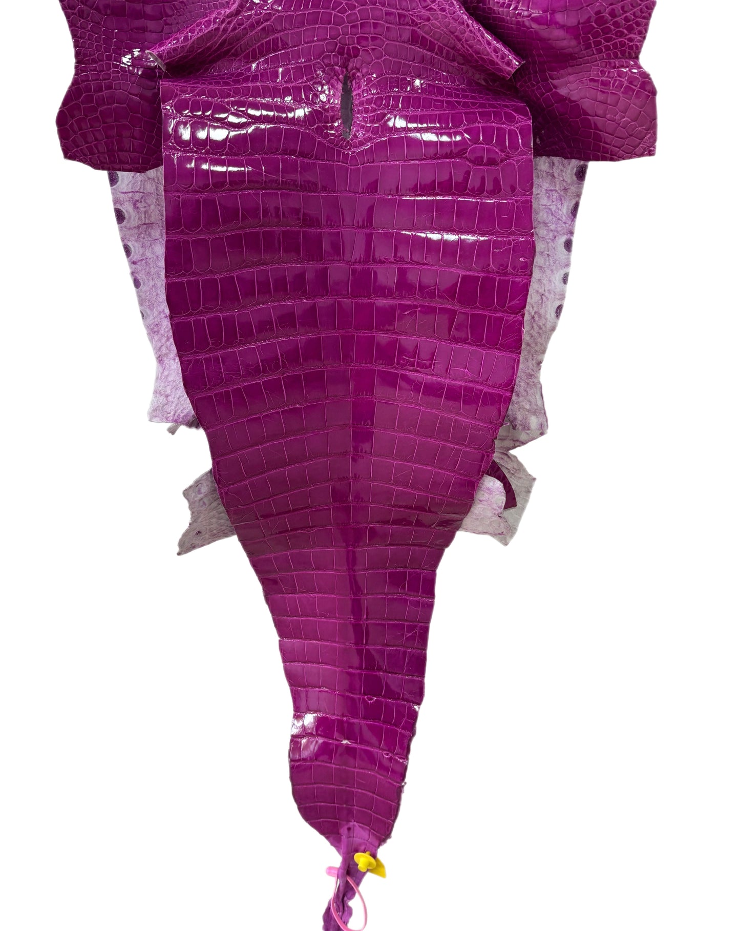 44 cm Grade 3/4 Magenta Glazed Farm Raised American Alligator Leather - Tag: FL14-0003700
