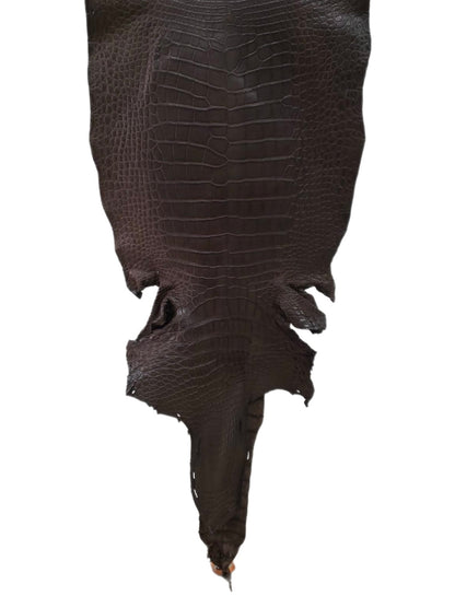 42 cm Grade 2/3 Kralle Brown Matte Wild American Alligator Leather - Tag: LA24-0022815