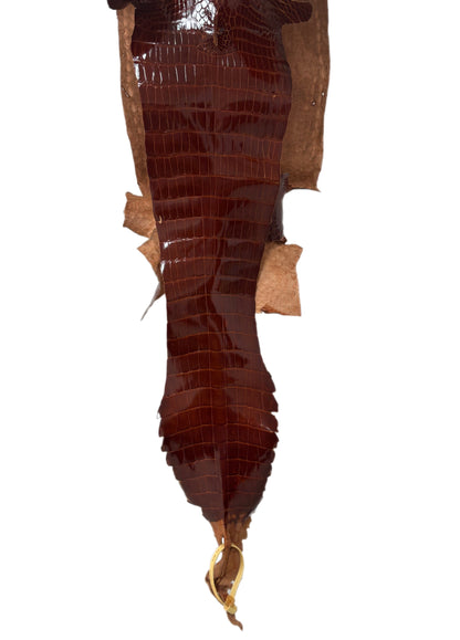 23 cm Grade 2/3 Peanut Glazed Wild American Alligator Leather - Tag: FL09-0027849