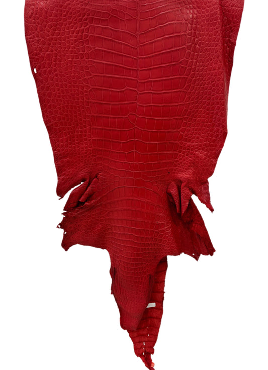 47 cm Grade 3/4 Candy Apple Red Matte Wild American Alligator Leather - Tag: LA24-0037331