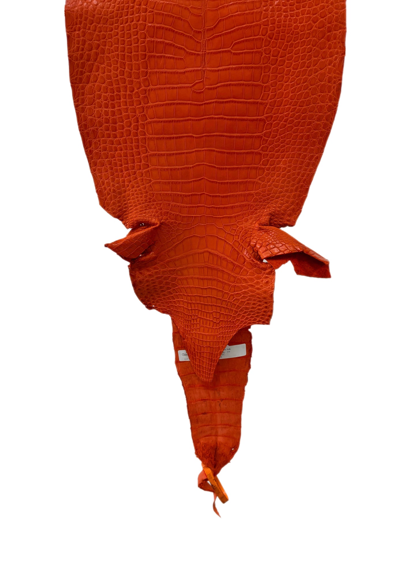 31 cm Grade 1/2 Orange Primavera Matte Farm-Raised American Alligator Leather - Tag: LA23-0531425