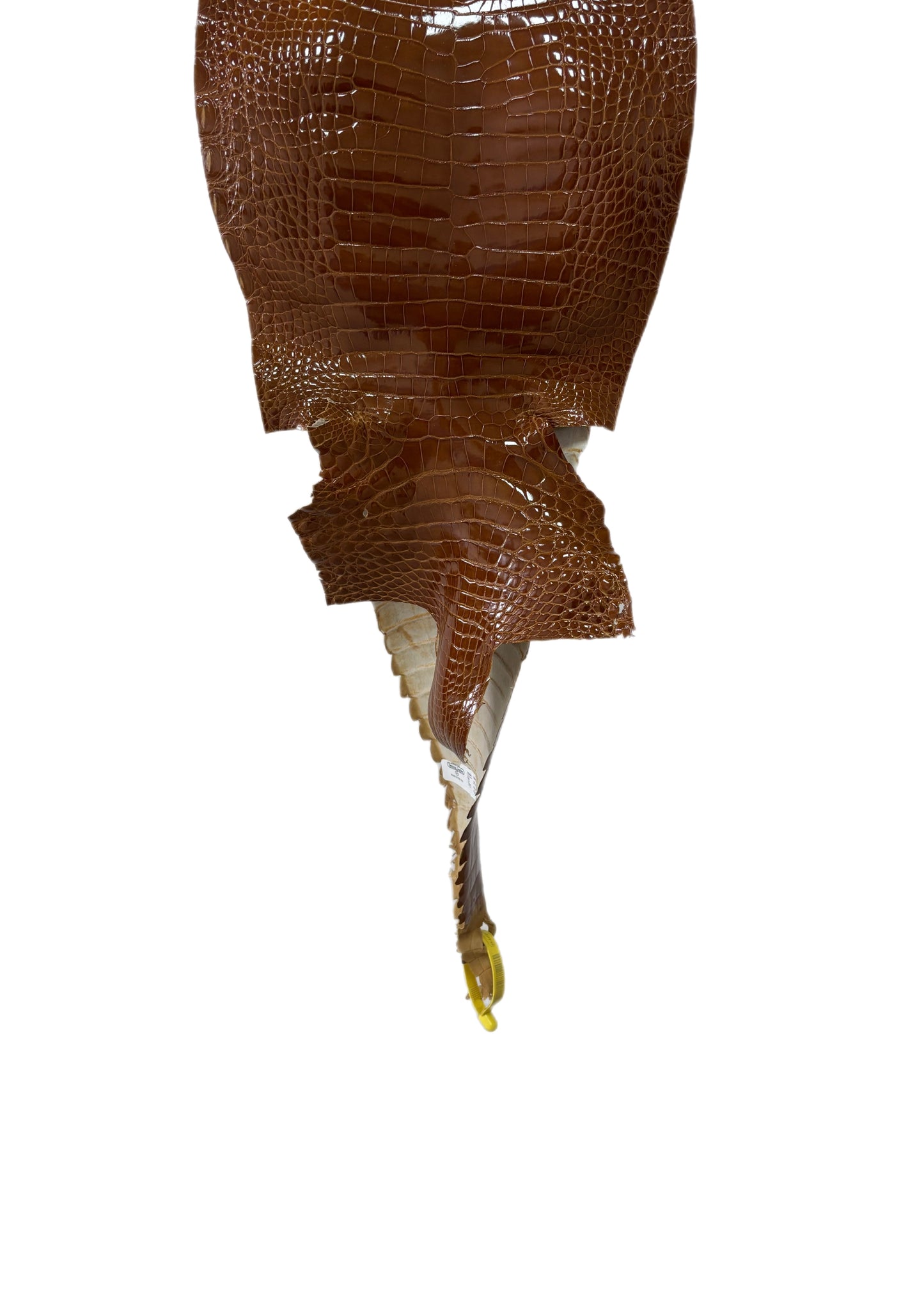 25 cm Grade 1/2 Cognac Glazed Farm-Raised American Alligator Leather - Tag: FL22-0030253