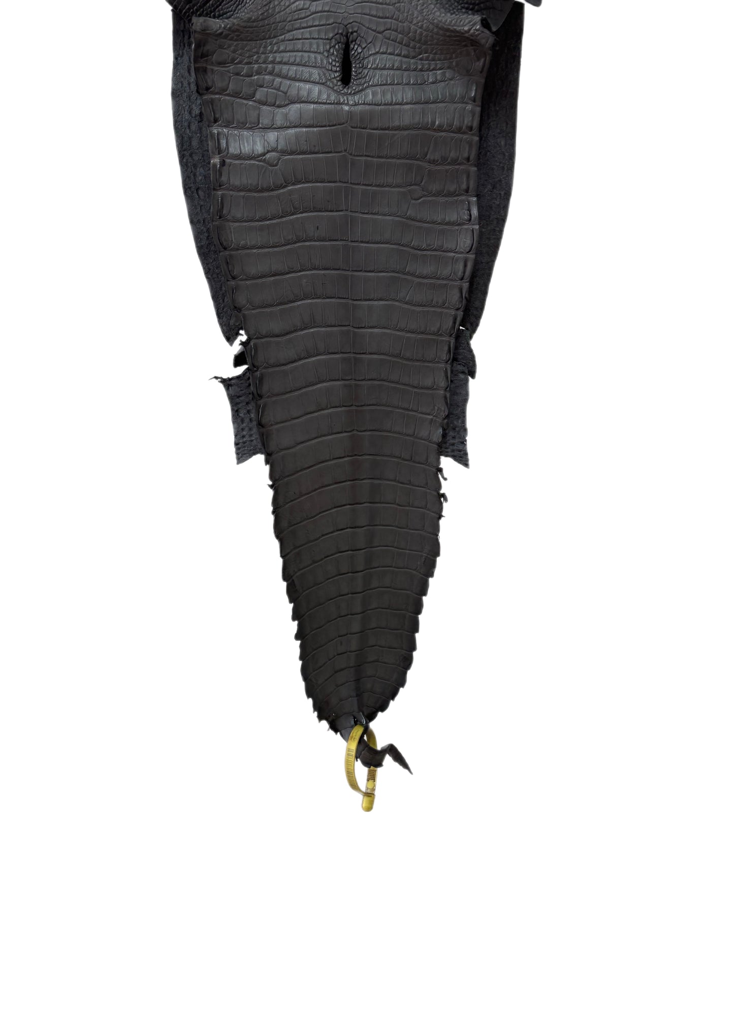 26 cm Grade 1/2 Serpentine Grey Matte Farm-Raised American Alligator Leather - Tag: FL22-0030363