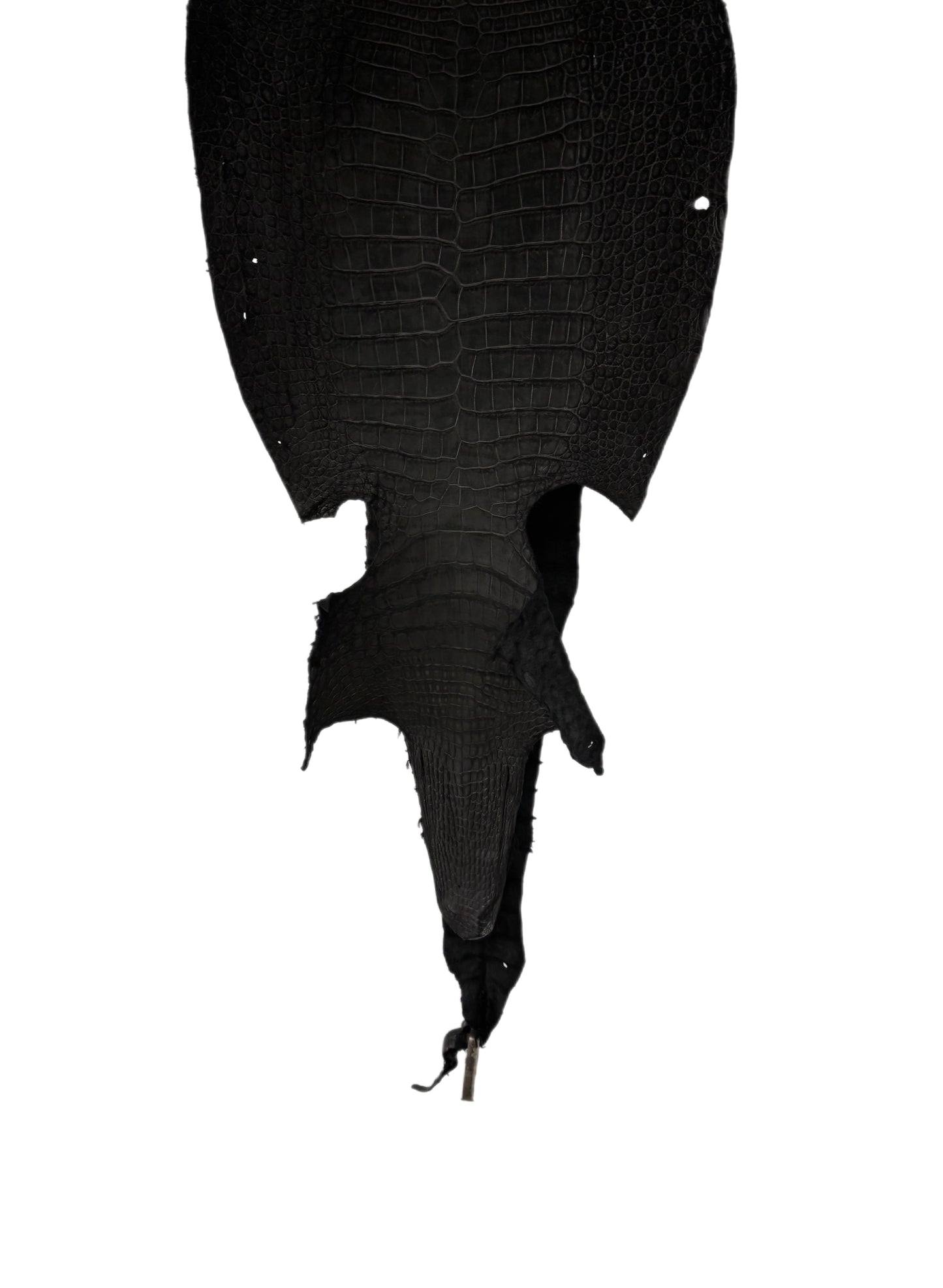 34 cm Grade 3/4 Black Nubuck Wild American Alligator Leather - Tag: LA23-0002798