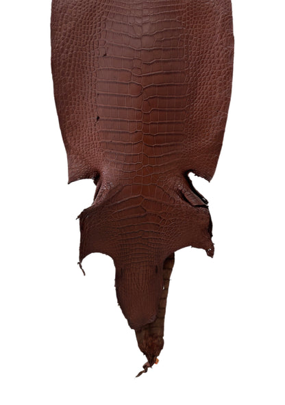 39 cm Grade 3/4 Chesnut Matte Wild American Alligator Leather - Tag: LA23-0024864