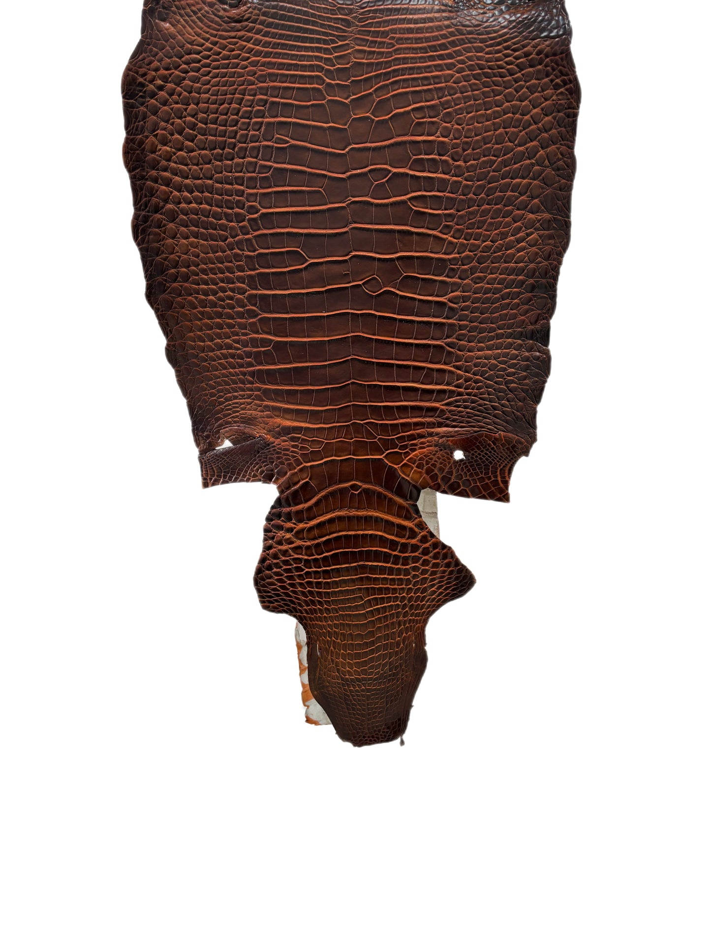 31 cm Grade 1/2 Sienna Matte Wild American Alligator Leather - Tag: ESRE-0050761