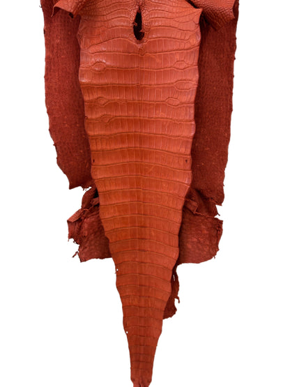44 cm Grade 2/3 Pumpkin Matte Wild American Alligator Leather - Tag: LA18-0038557