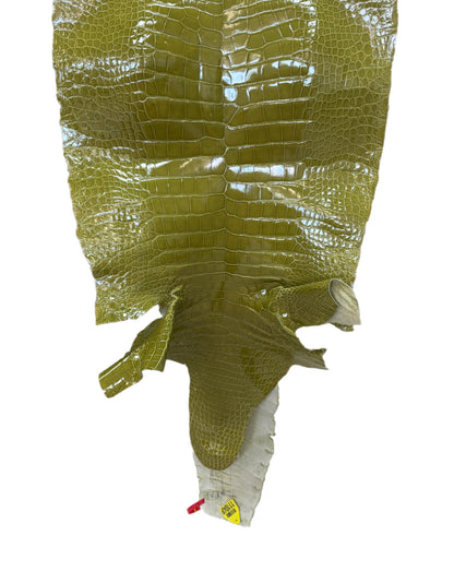 CLOSEOUT | 44 cm Grade 2/3 Muguet Glazed Wild American Alligator Leather - Tag: CCIT-0539935