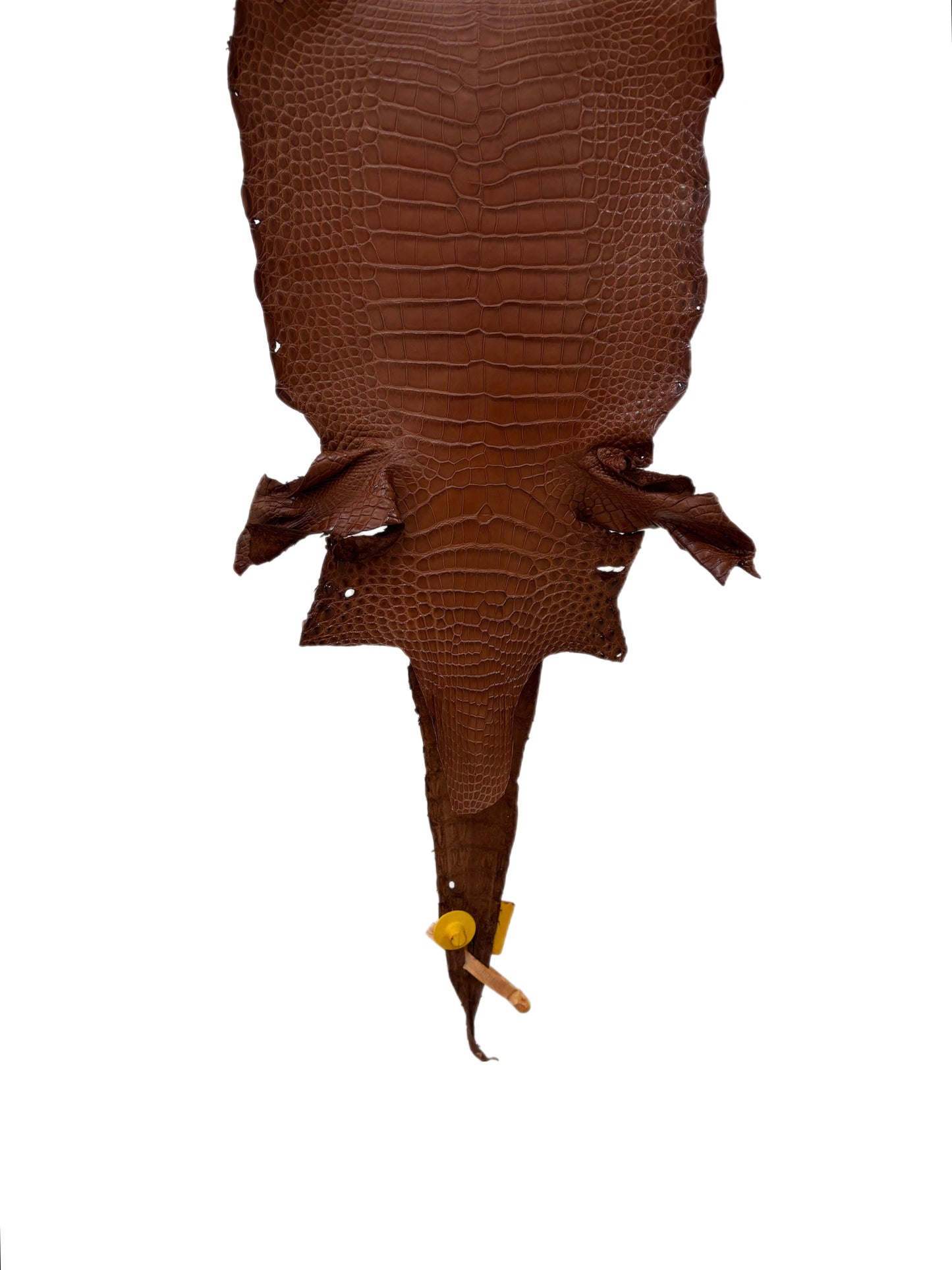 23 cm Grade 1/2 Rustic Cognac Matte Farm-Raised American Alligator Leather - Tag: LA08-0216181