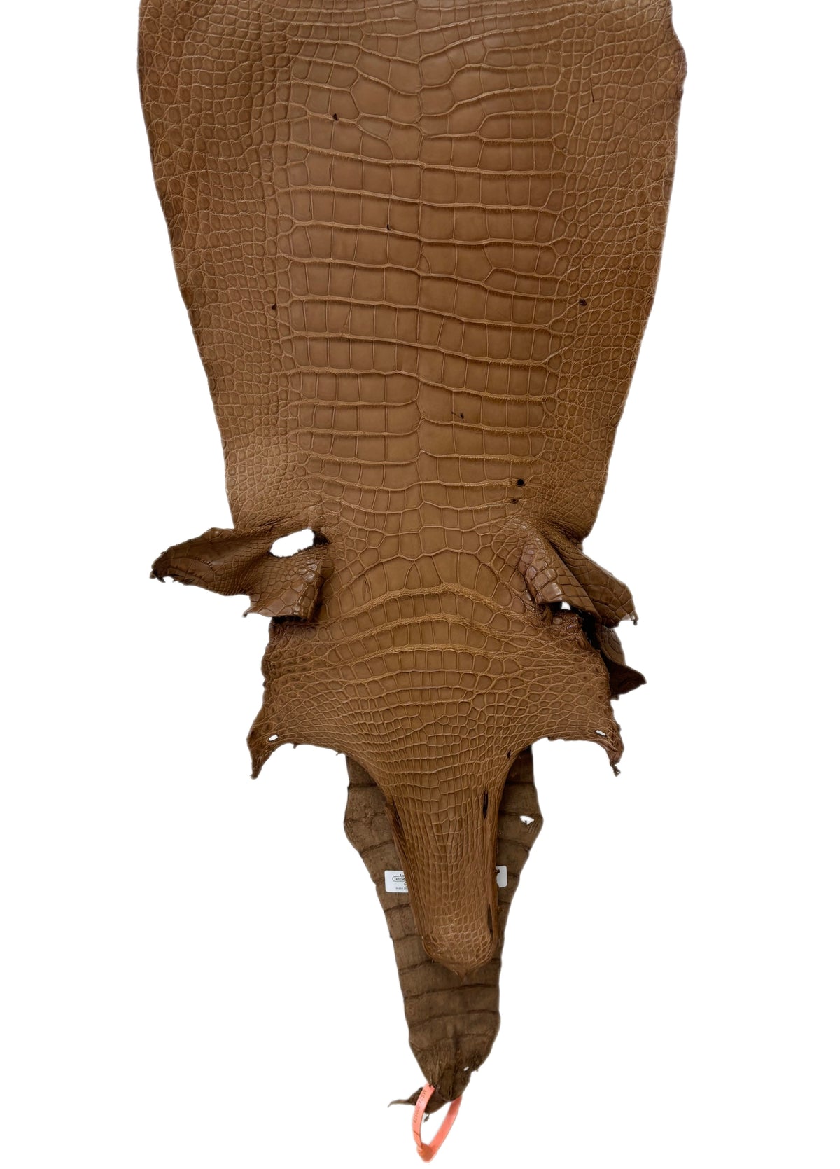 33 cm Grade 4/5 Cammello Matte Wild American Alligator Leather - Tag: MS24-0000579
