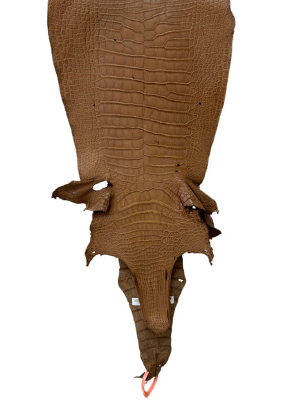 33 cm Grade 4/5 Cammello Matte Wild American Alligator Leather - Tag: MS24-0000579