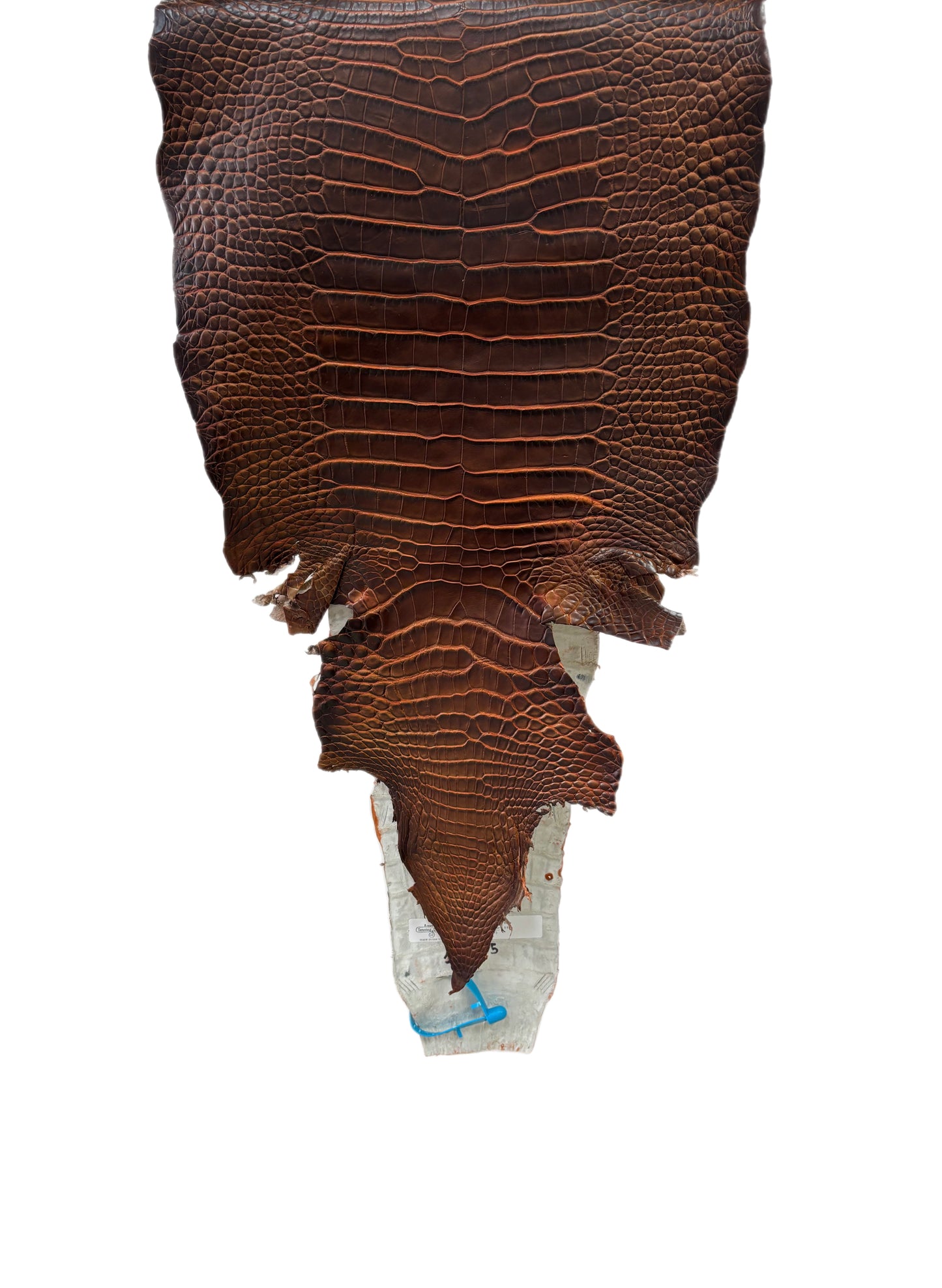 35 cm Grade 1/2 Sienna Matte Wild American Alligator Leather - Tag: ESRE-0050789