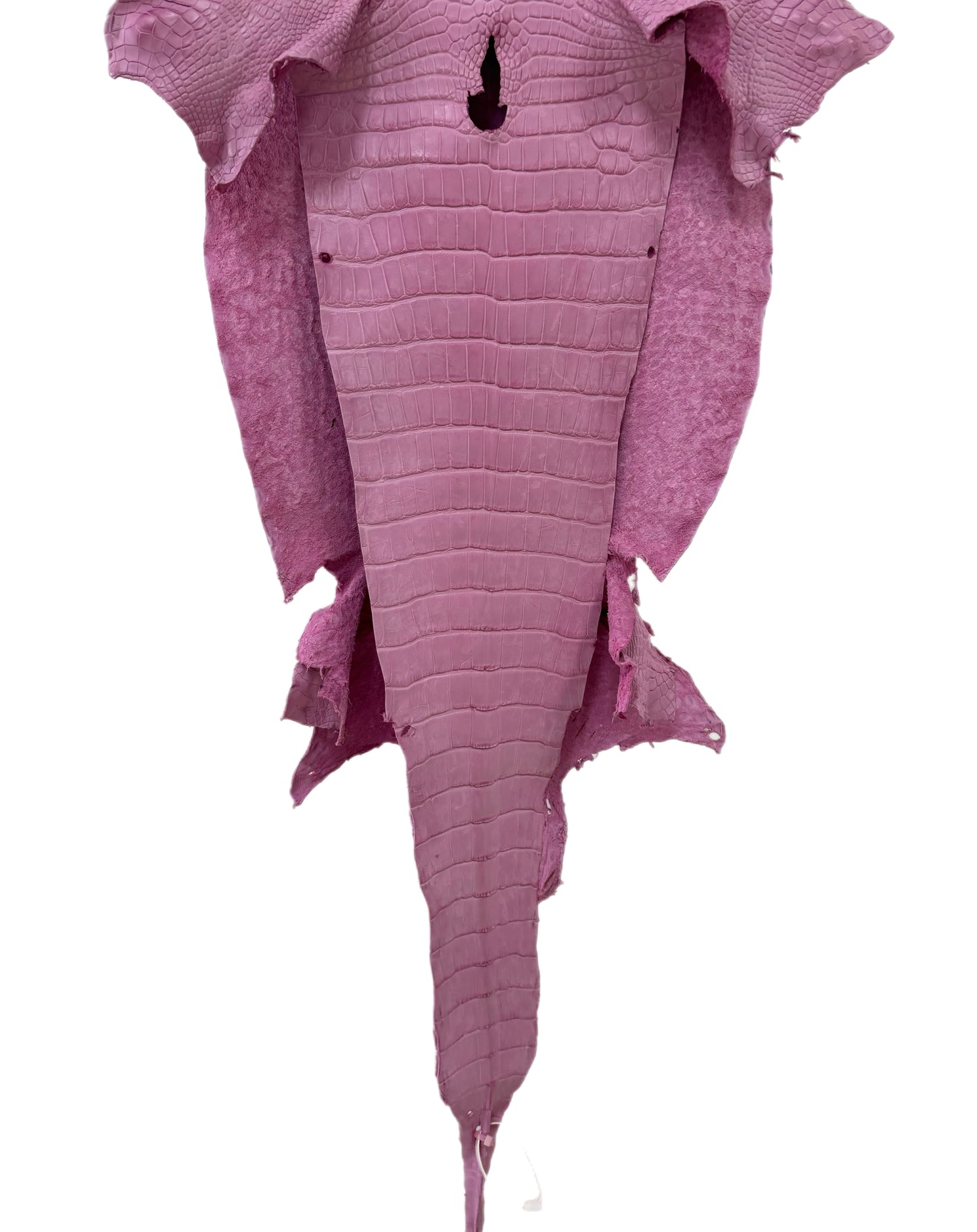 40 cm Grade 2/3 Cotton Candy Matte Wild American Alligator Leather - Tag: LA23-0004844