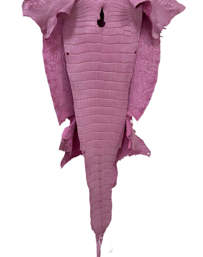 40 cm Grade 2/3 Cotton Candy Matte Wild American Alligator Leather - Tag: LA23-0004844