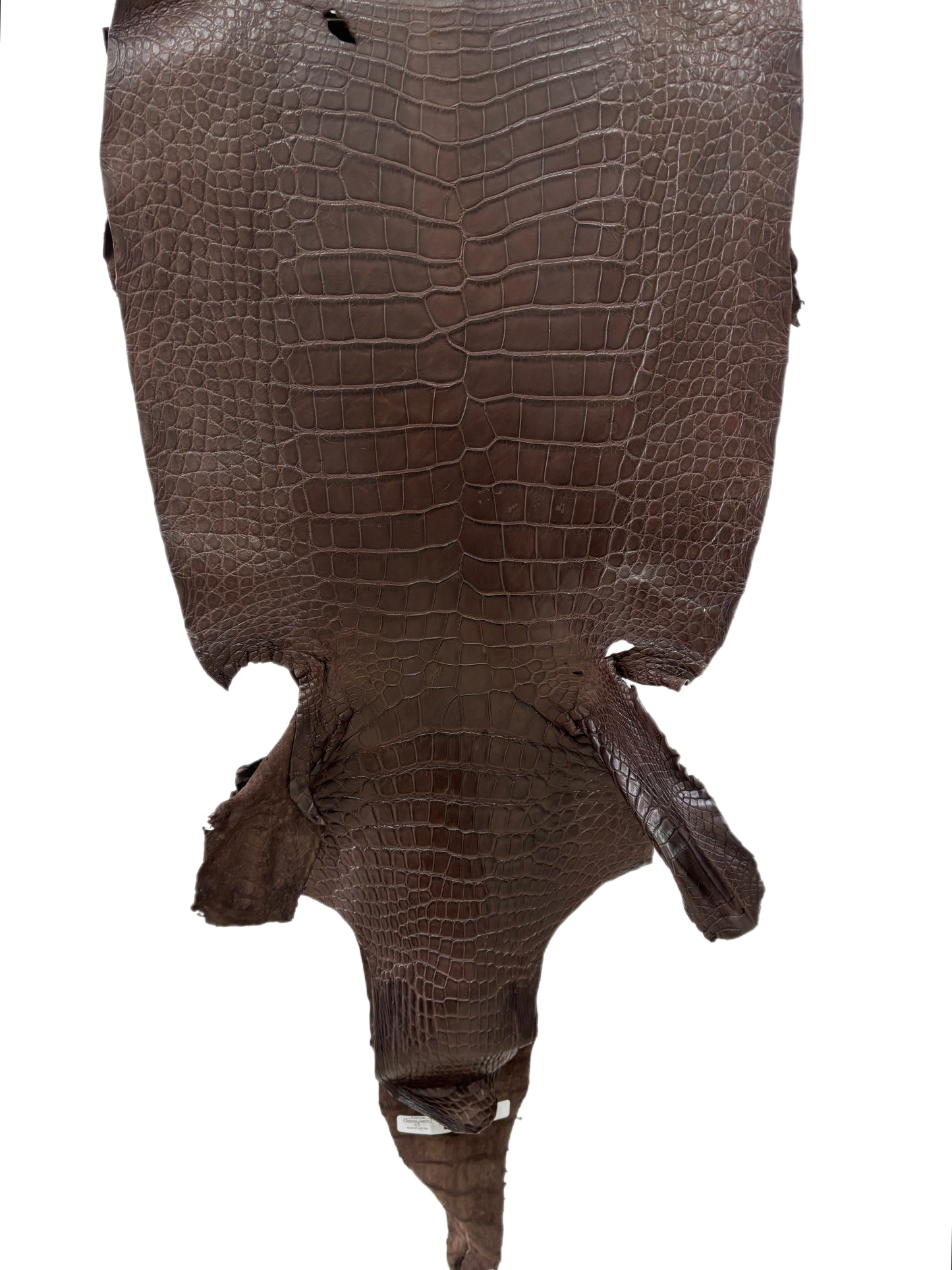 42 cm Grade 3/4 Chocolate Matte Wild American Alligator Leather - Tag: LA24-0017437