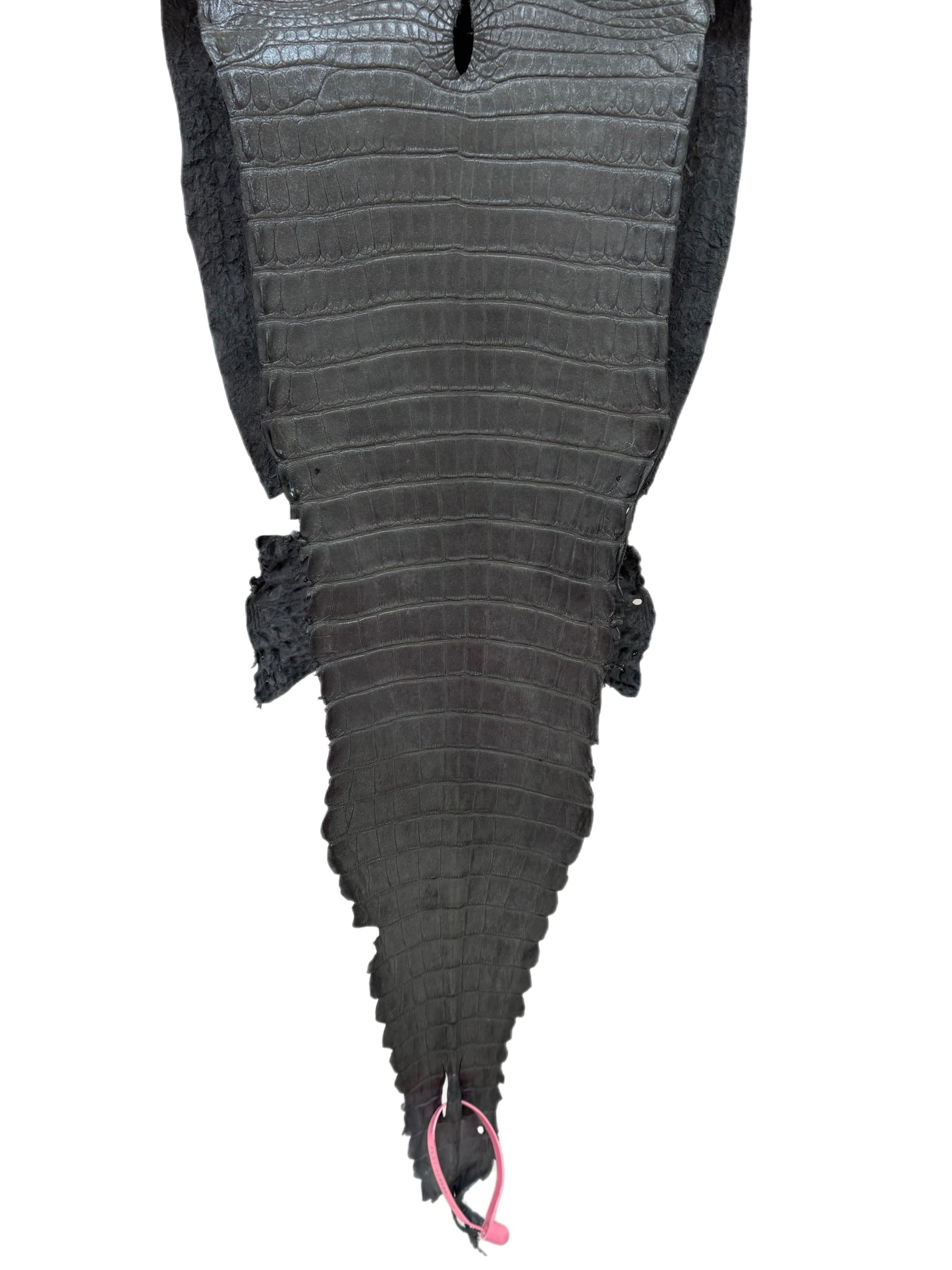 27 cm Grade 1/2 Gunmetal Matte Farm-Raised American Alligator Leather - Tag: FL21-0024898