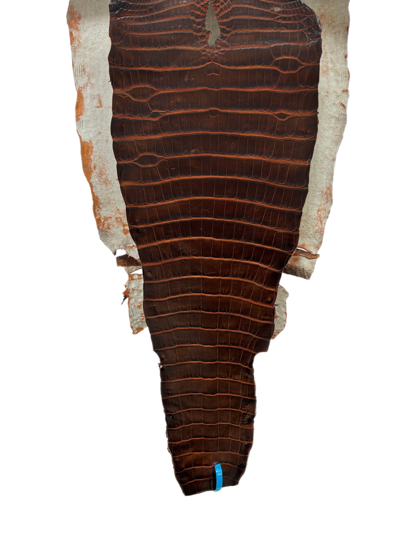36 cm Grade 1/2 Sienna Matte Wild American Alligator Leather - Tag: ESRE-0050802