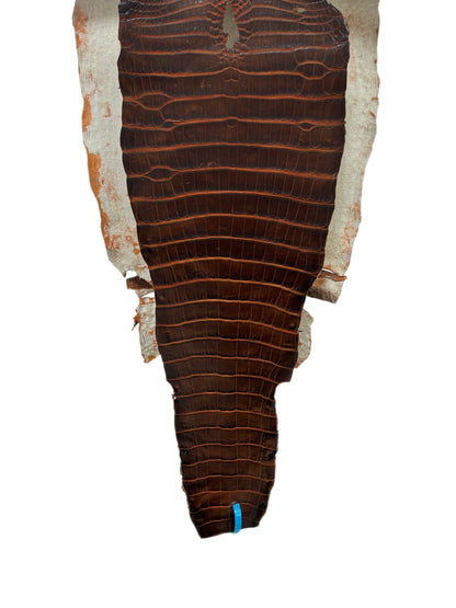 36 cm Grade 1/2 Sienna Matte Wild American Alligator Leather - Tag: ESRE-0050802