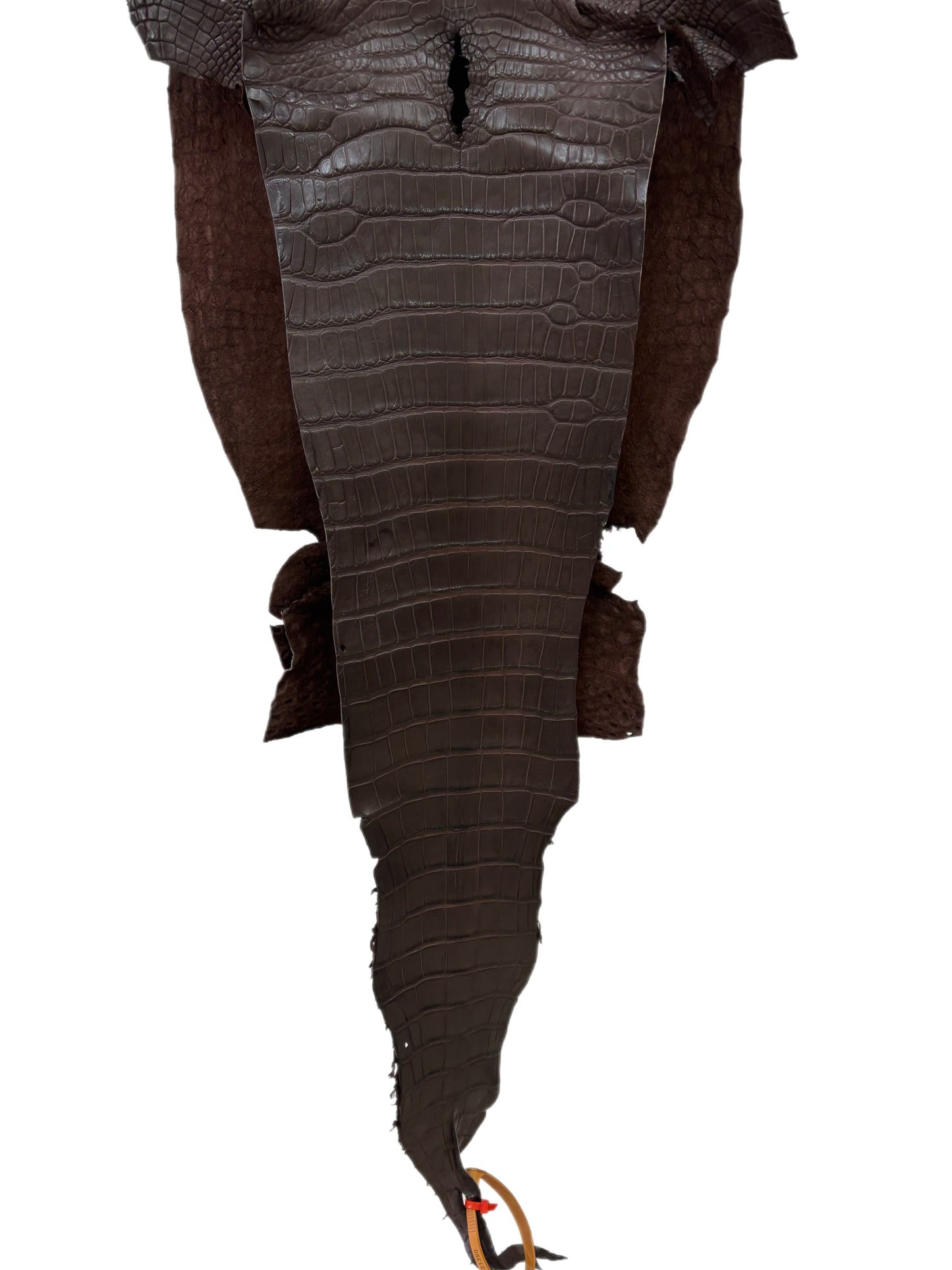 32 cm Grade 2/3 Chocolate Matte Farm-Raised American Alligator Leather - Tag: LA23-0531390