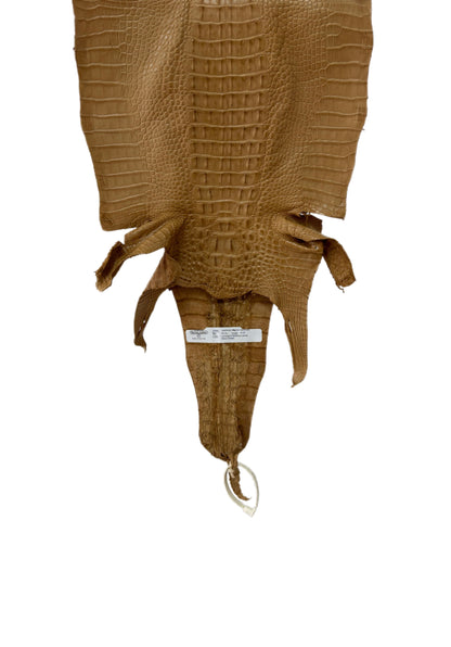 32 cm Grade 2/3 Antique Saddle Matte Farm-Raised American Alligator Hornback Leather - Tag: LA23-0377138