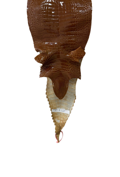 25 cm Grade 1 Cognac Glazed Farm-Raised American Alligator Leather - Tag: FL21-0024611