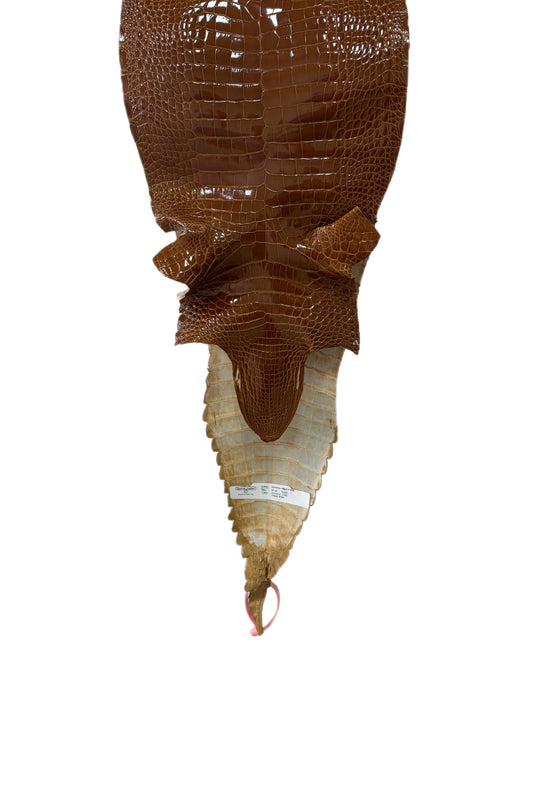 25 cm Grade 1 Cognac Glazed Farm-Raised American Alligator Leather - Tag: FL21-0024611
