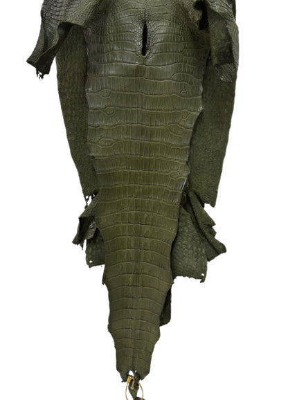 39 cm Grade 3/4 Olive Matte Wild American Alligator Leather - Tag: LA23-0022560