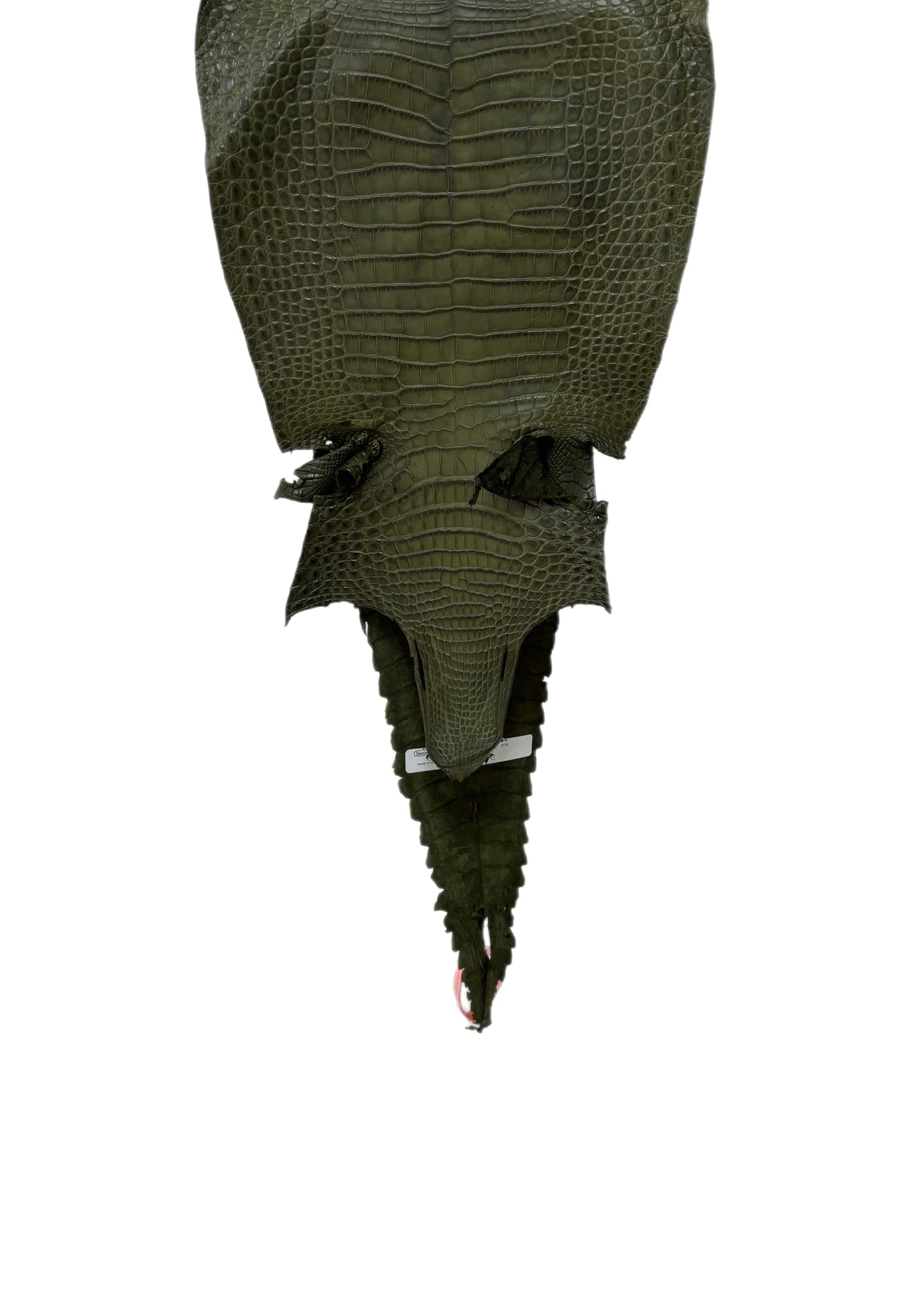 28 cm Grade 2/3 Olive Matte Farm-Raised American Alligator Leather - Tag: FL21-0024530
