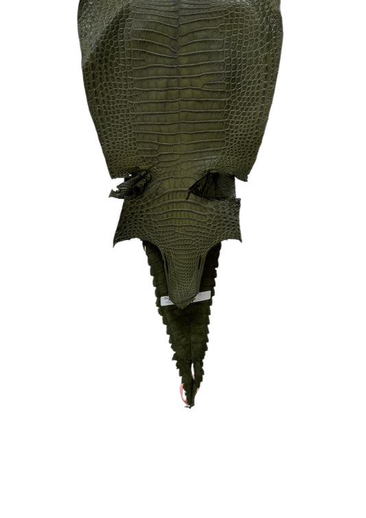 28 cm Grade 2/3 Olive Matte Farm-Raised American Alligator Leather - Tag: FL21-0024530