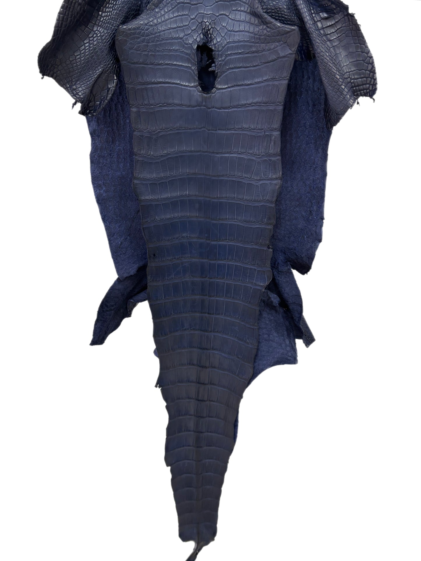 38 cm Grade 1/2 Navy Blue Desert Wild American Alligator Leather - Tag: LA23-0017321