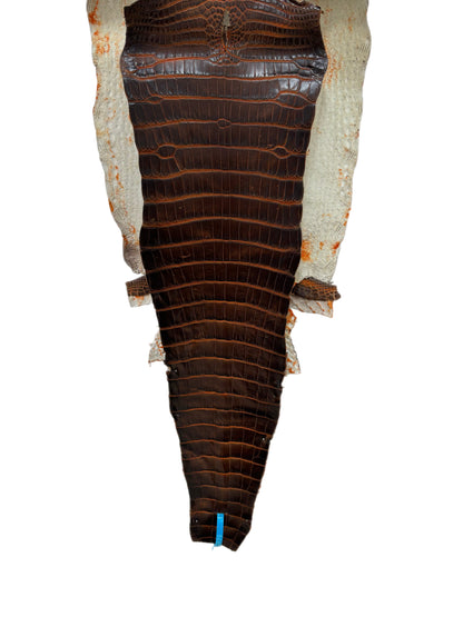 33 cm Grade 1/2 Sienna Matte Wild American Alligator Leather - Tag: ESRE-0033699