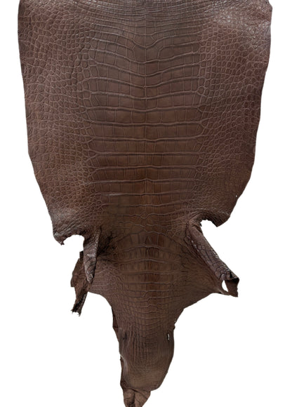 47 cm Grade 2/3 Chocolate Matte Wild American Alligator Leather - Tag: LA24-0022862