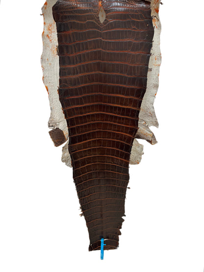 35 cm Grade 1/2 Sienna Matte Wild American Alligator Leather - Tag: ESRE-0033716