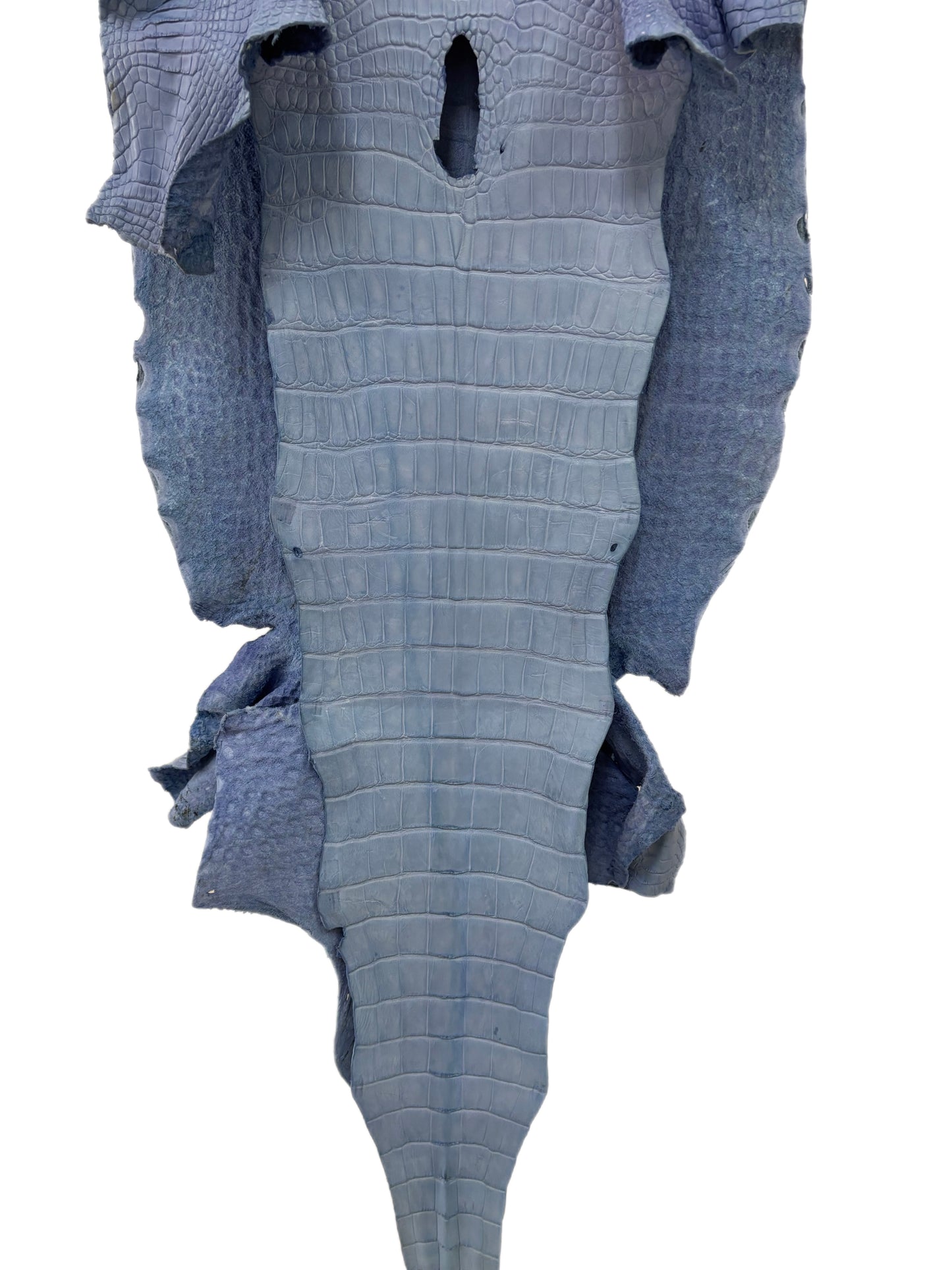 43 cm Grade 3/4 Carolina Blue Matte Wild American Alligator Leather - Tag: LA23-0027018