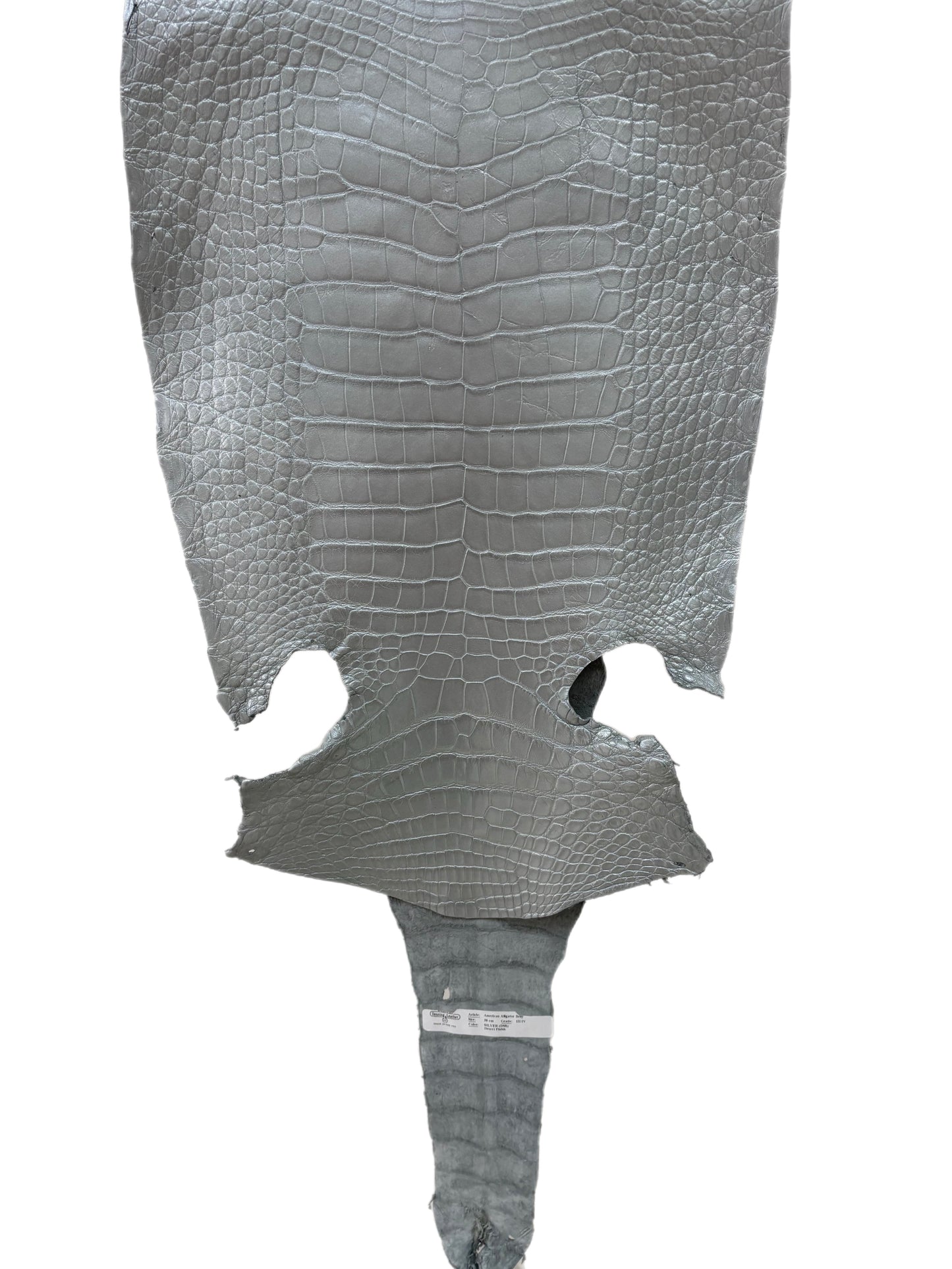 38 cm Grade 3/4 Silver Metallic Wild American Alligator Leather - Tag: LA23-0028578