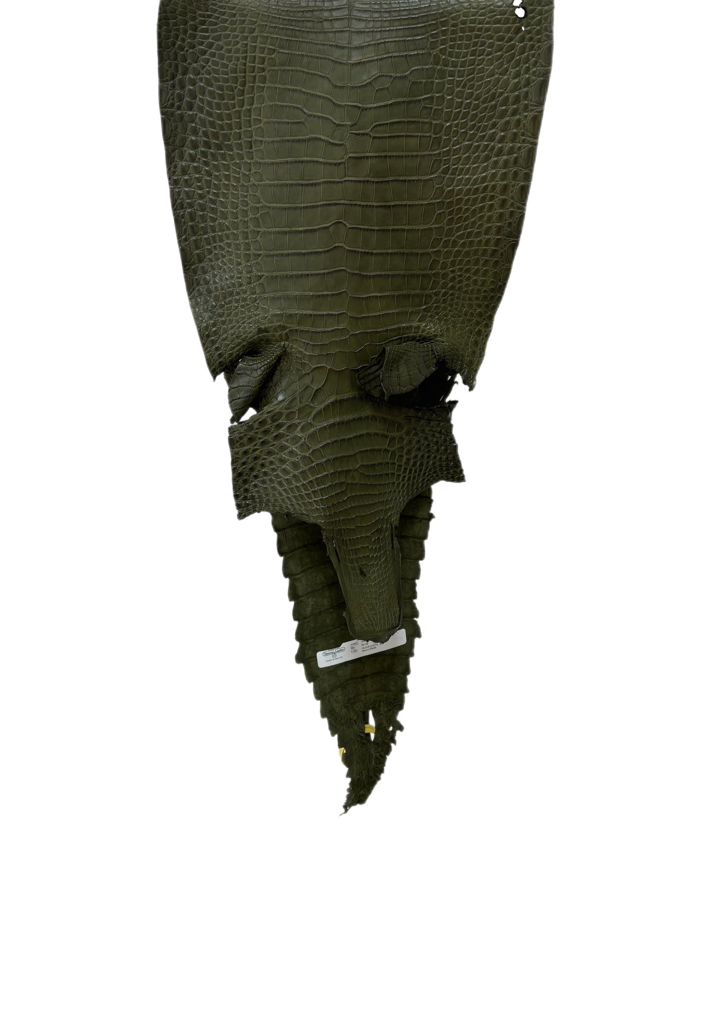 30 cm Grade 2/3 Olive Matte Farm-Raised American Alligator Leather - Tag: FL22-0030376