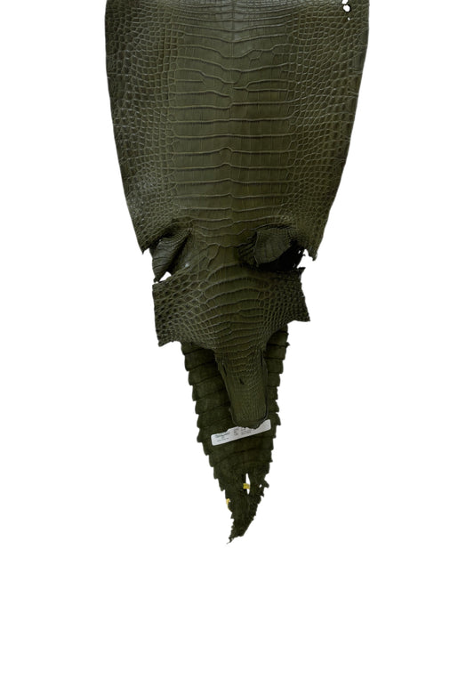 30 cm Grade 2/3 Olive Matte Farm-Raised American Alligator Leather - Tag: FL22-0030376