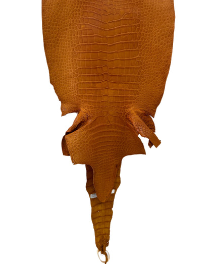 39 cm Grade 4/5 Buttercup Matte Wild American Alligator Leather - Tag: LA23-0050922