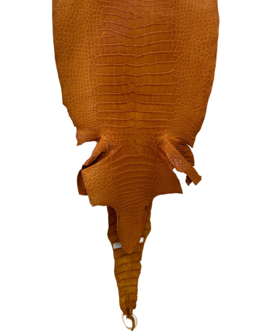 39 cm Grade 4/5 Buttercup Matte Wild American Alligator Leather - Tag: LA23-0050922
