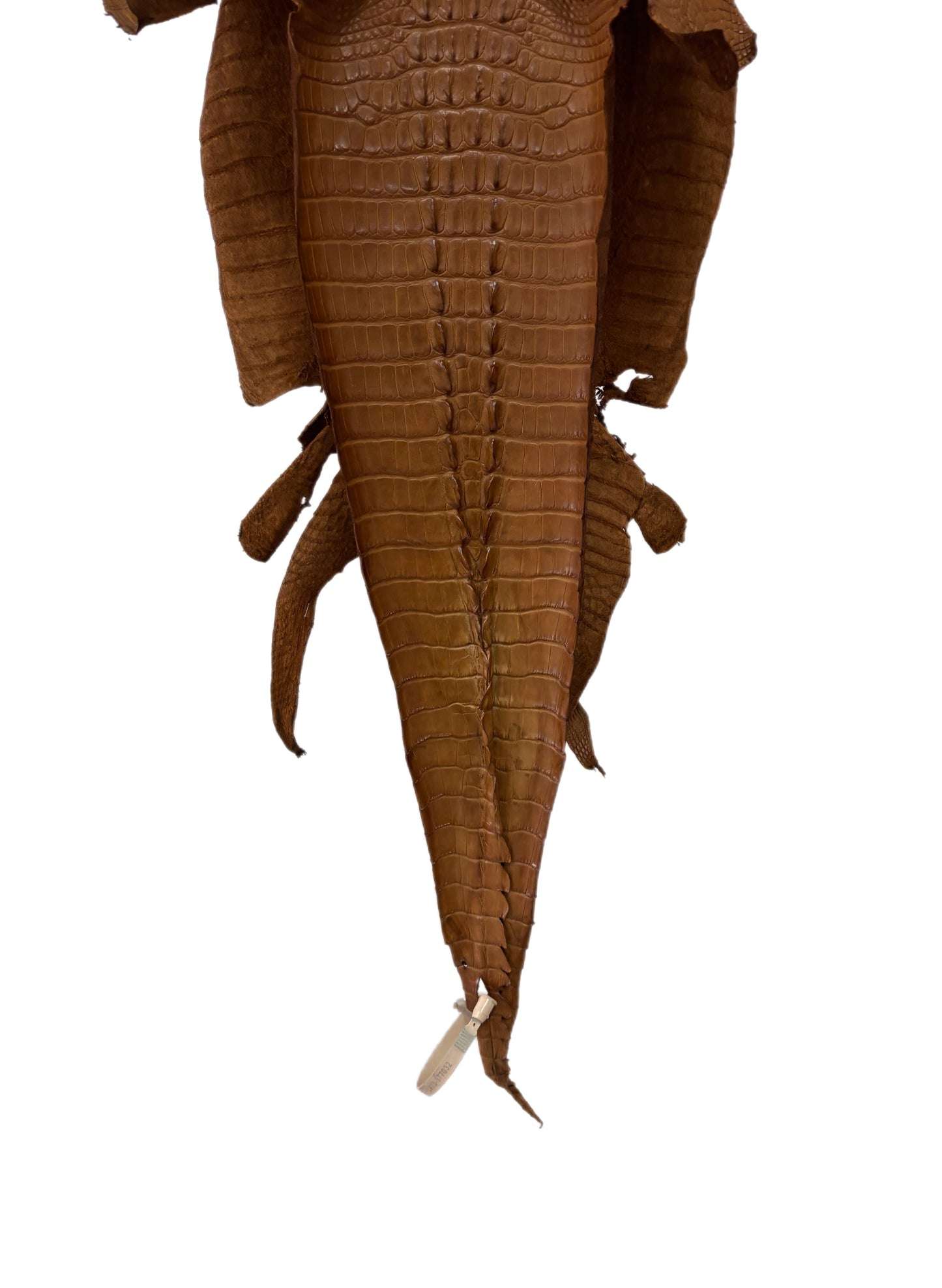 32 cm Grade 1/2 Kango Tabac Matte Farm-Raised American Alligator Leather - Tag: LA23-0377032