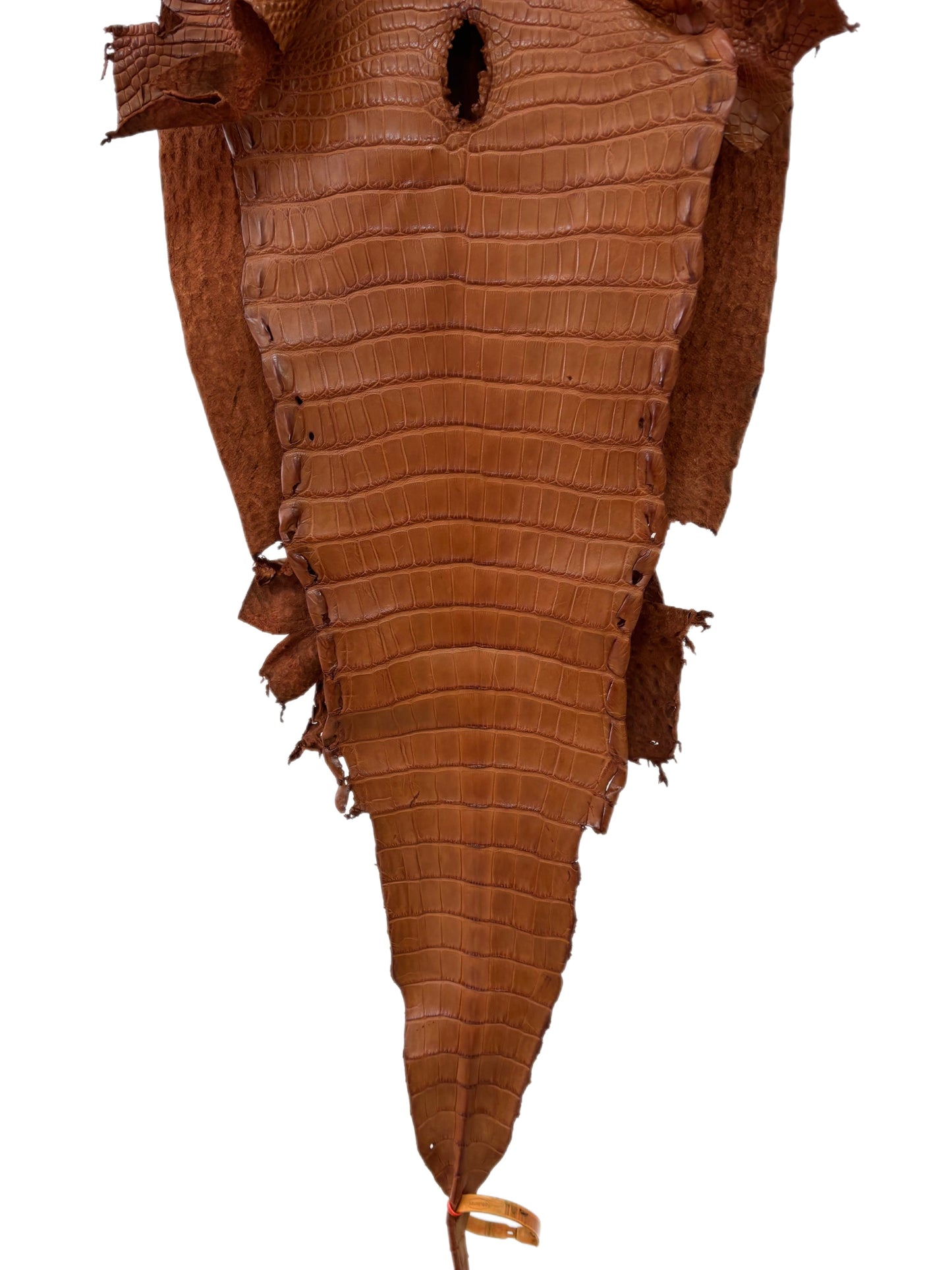 32 cm Grade 2/3 Cognac Matte Farm-Raised American Alligator Leather - Tag: LA23-0531672